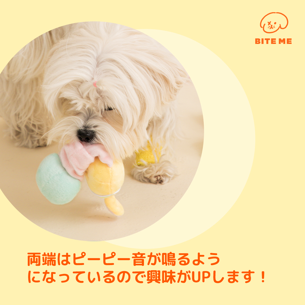 ぬいぐるみ」よちよちべいびー ますこっと（96個入